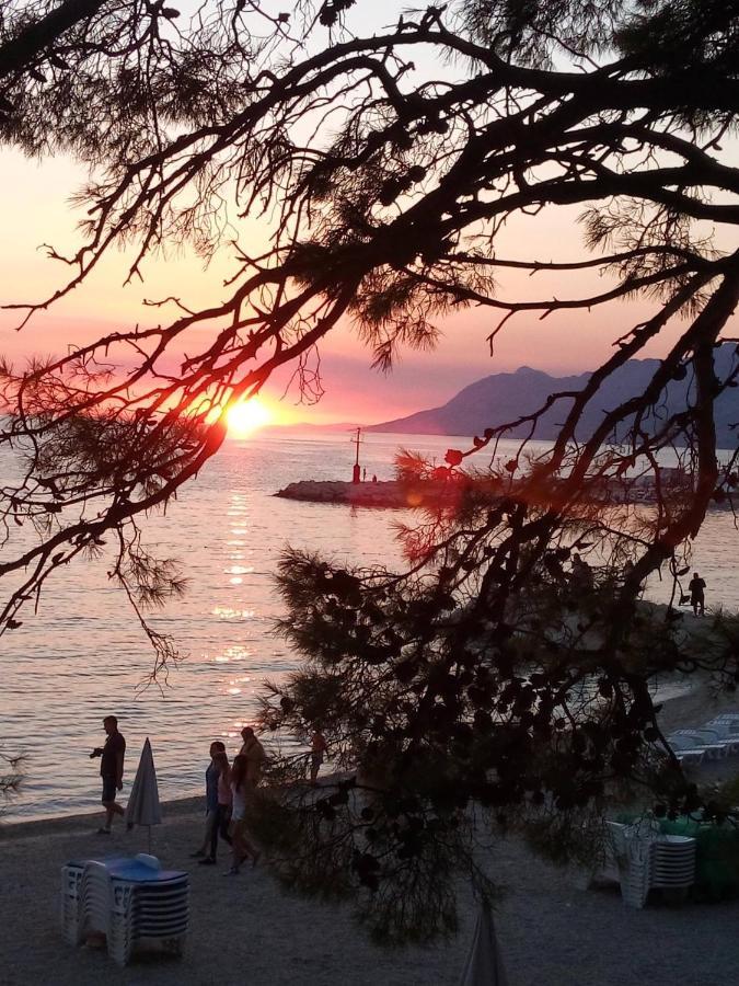 Villa Bandic บาชกาโวดา ภายนอก รูปภาพ